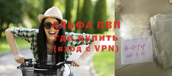 сатива Козловка